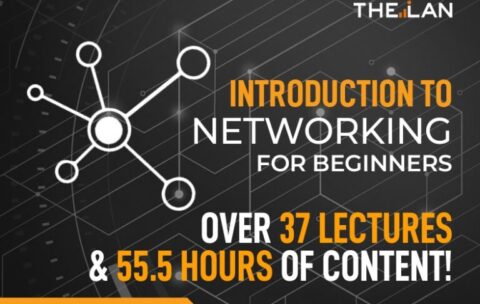 networking-beginer-768x575