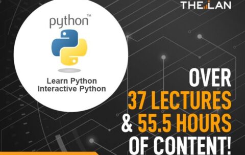 python-768x575