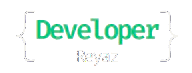 Developer Reyaz